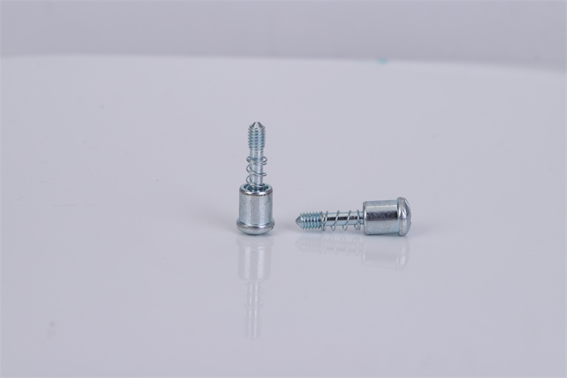 非標(biāo)彈簧螺絲定制