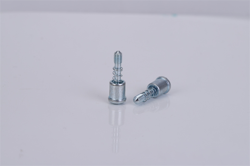 非標(biāo)彈簧螺絲定制
