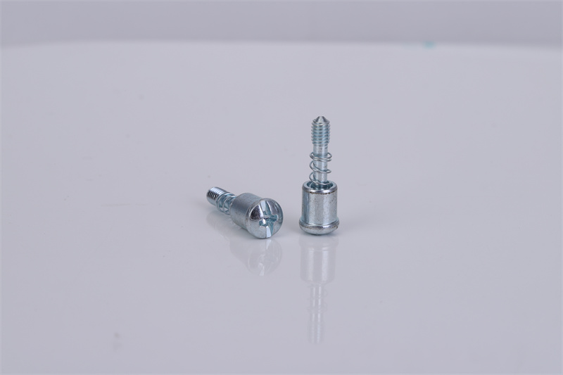 非標(biāo)彈簧螺絲定制