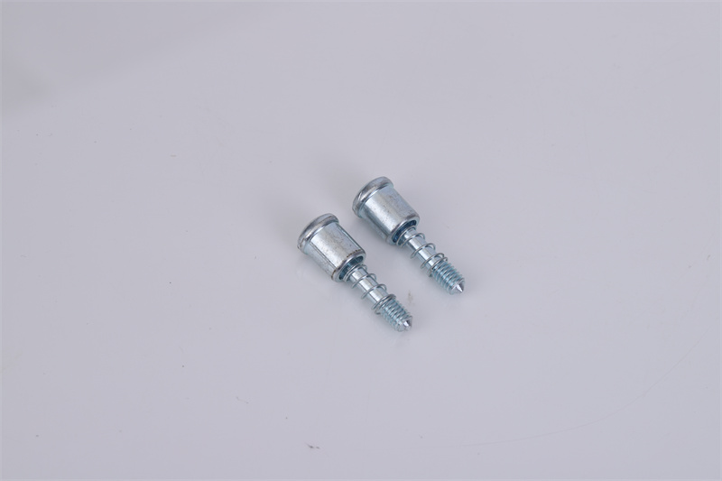 非標(biāo)彈簧螺絲定制