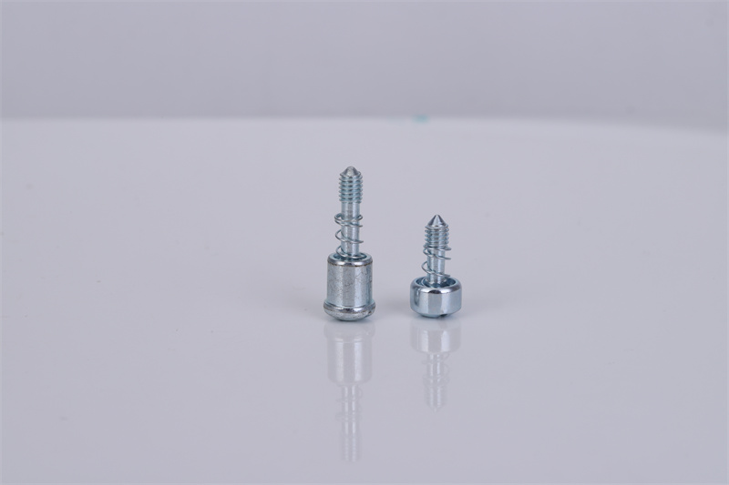 非標(biāo)彈簧螺絲定制
