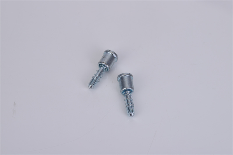 非標(biāo)彈簧螺絲定制