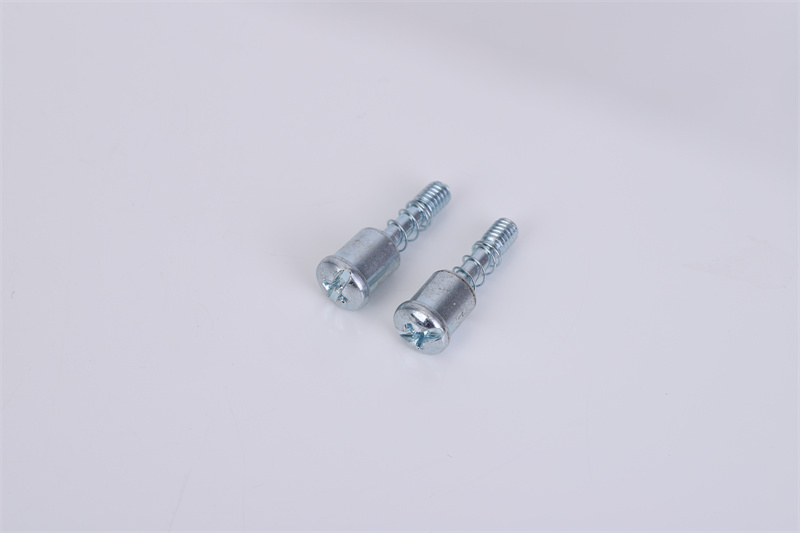 非標(biāo)彈簧螺絲定制